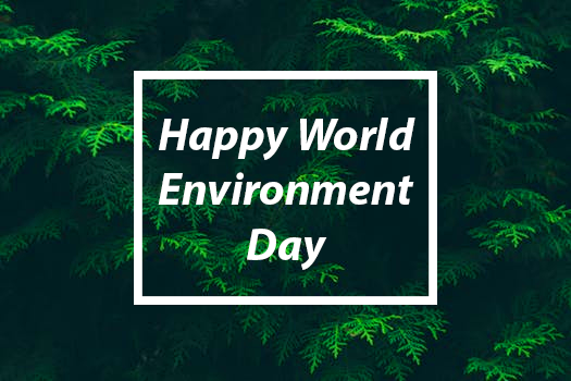 World Environment Day 5th of June