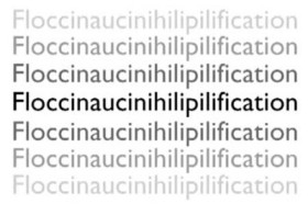 Interesting Words and Expressions – Floccinaucinihilipilification