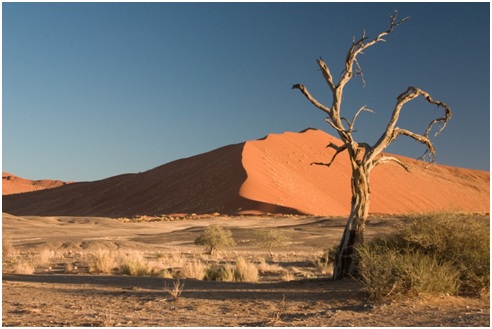 What do you know about deserts?