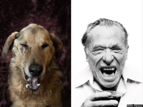 A Photographer Made These Rescue Dogs Look Like Famous Writers