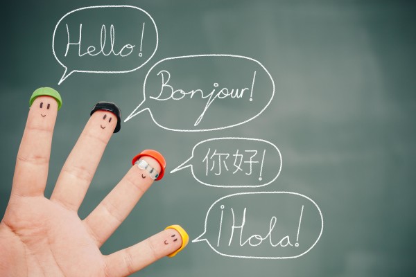 Teaching Languages and Learning Strategies